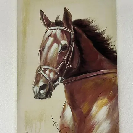 Kingsland Apartment *