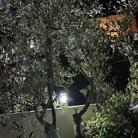 Apartment Kingsland *